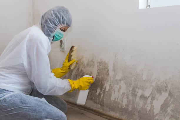 Susan Moore, AL Mold Removal Company