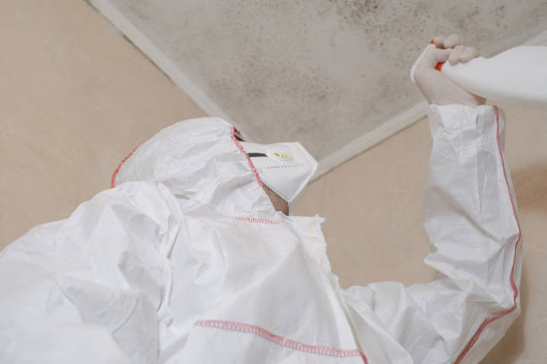 Best Office Mold Removal Services  in Susan Moore, AL